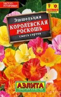 IMG_3235