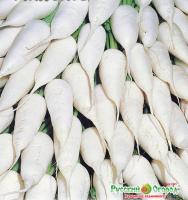 02a40212dd37b99b713f570308d3f911