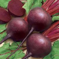 2ieyquvvldaxe7wpavn6zq2ims719ikk