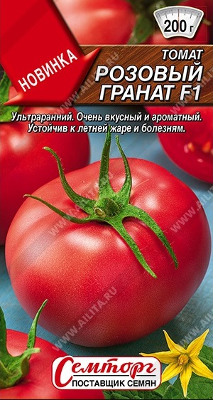 2595