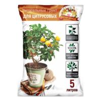 для-ЦИТРУСОВ-500-690-300x300-1