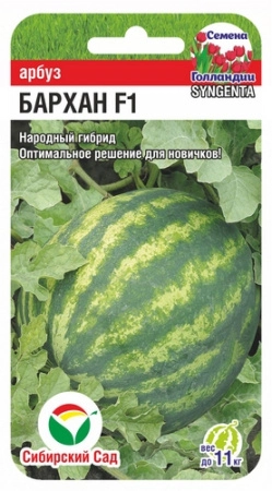 1858