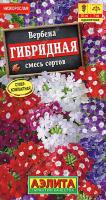 Вербена гибридная смесь аэлита