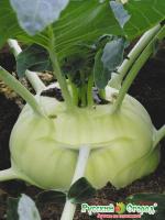 d6c1fa144c29f1ed95a00b689e623bc3