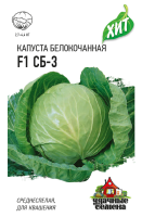 СБ-3 xит