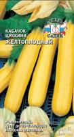 kabachok_zheltoplodnyy