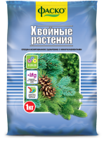 хвойные фаско