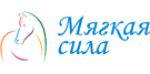 МЯГКАЯ СИЛА
