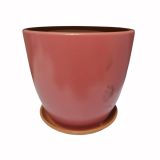 спектр роз кро