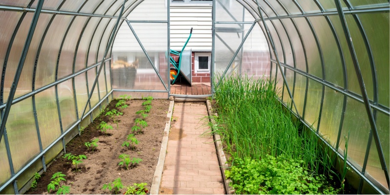 КАК ЗАЩИТИТЬ РАСТЕНИЯ ОТ ХОЛОДА И ВЕТРА?