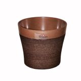 ней браун 808