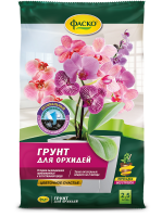 орхидея 2,5л