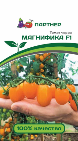 магнифика