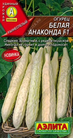 белая анаконда