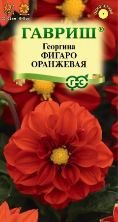 фигаро оранж