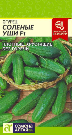 wetc6d3ne1okkezb613wl71oc69ll8n9