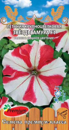 звезды амура