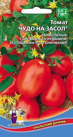 tomat-chudo-na-zasol