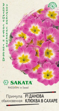 Примула Данова клюква в сахаре гавриш