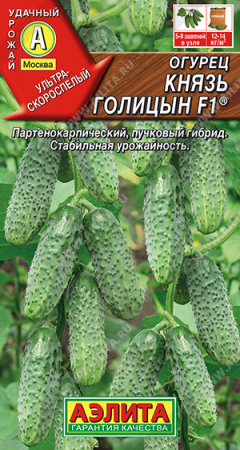 князь голицын