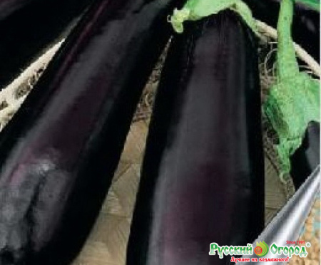 a0fa56449acadc68a21f612ad18ffc60