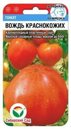 Вождь краснокожи