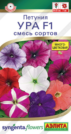 a4d79461_601b_11ed_810f_0cc47adb9c64_d975596f_a789_11ed_8114_0cc47adb9c64