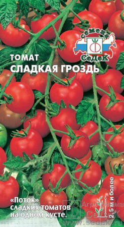 tomat_sladkaya_grozd