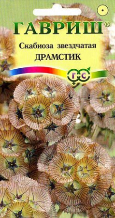 2104