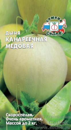 dynya_kanareechnaya_medovaya