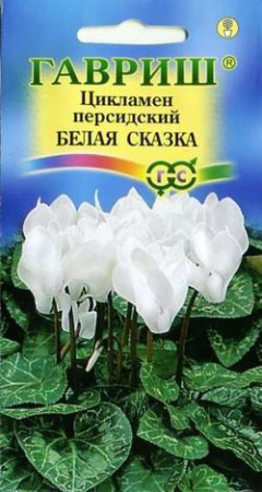 2561
