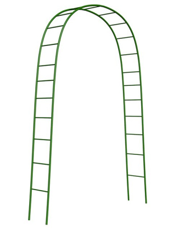 JMP1sMN9H