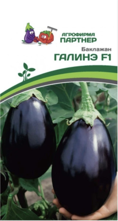 image-16-12-25-09-22-9