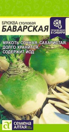 IMG-0157