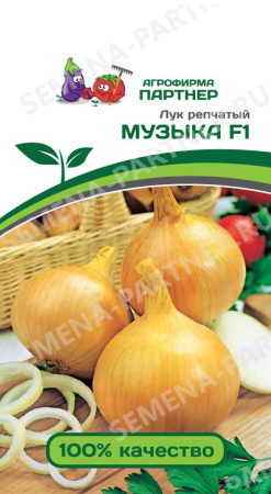лук музыка