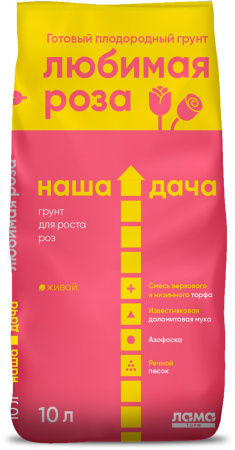 наша дача розы