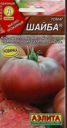 шайба