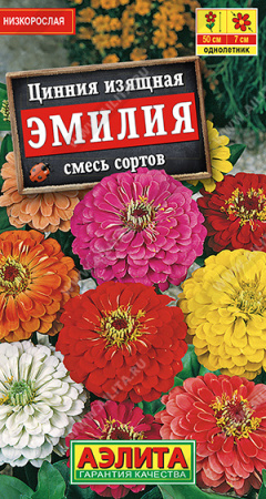 Цинния Эмилия аэлита