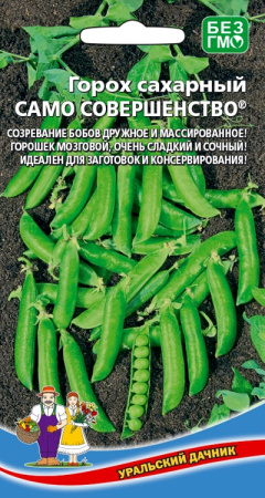 1204