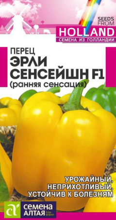 IMG-0065