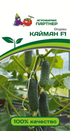 j5858zkydvkpeq7tlmn41svs5p9bwjt6