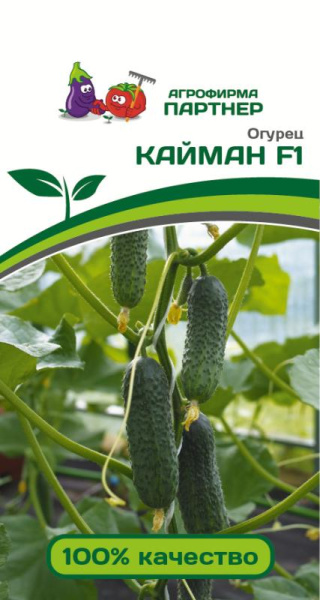 j5858zkydvkpeq7tlmn41svs5p9bwjt6