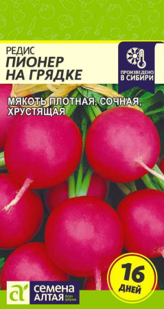пионер