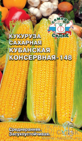 238