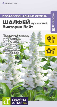 шалфей виктория вайт