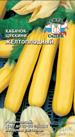 kabachok_zheltoplodnyy