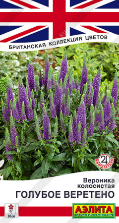 вероника голубое веретено аэлита