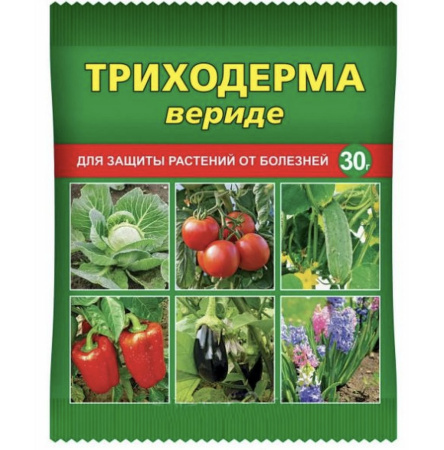 IMG-9813