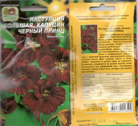 Настурция черный принц наш сад