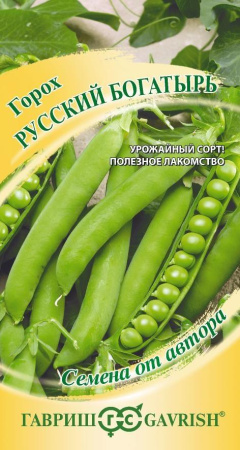 русский богатырь